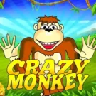 Crazy Monkey