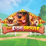 The Dog House