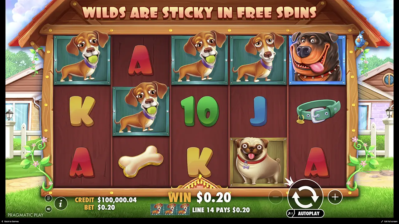 Характеристики слота The Dog House