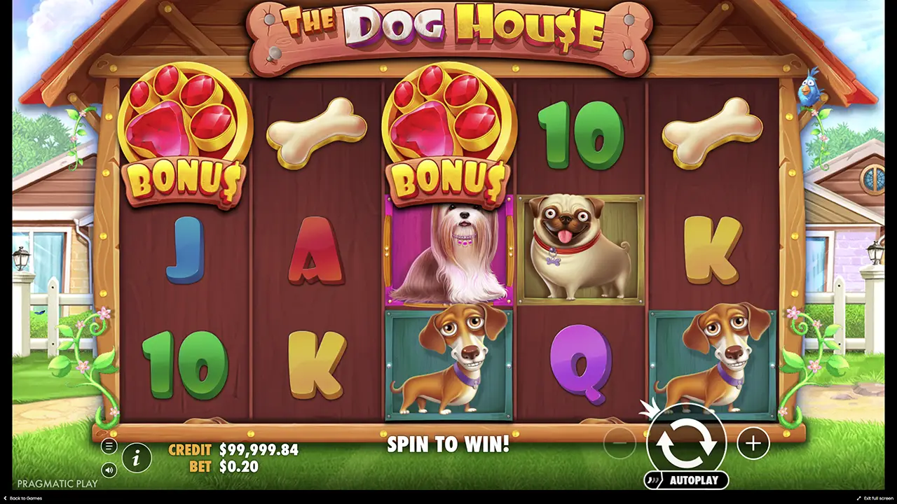 Як грати в The Dog House